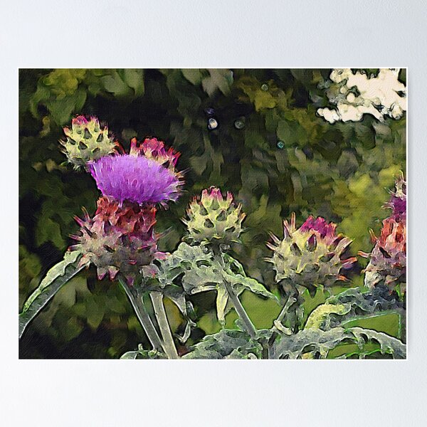 Artichoke Flower Painting Poster RB0301 product Offical jinjer Merch