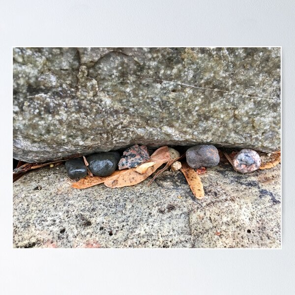 Pebbles and Seeds in a Crevasse Between Two Rocks Poster RB0301 product Offical jinjer Merch