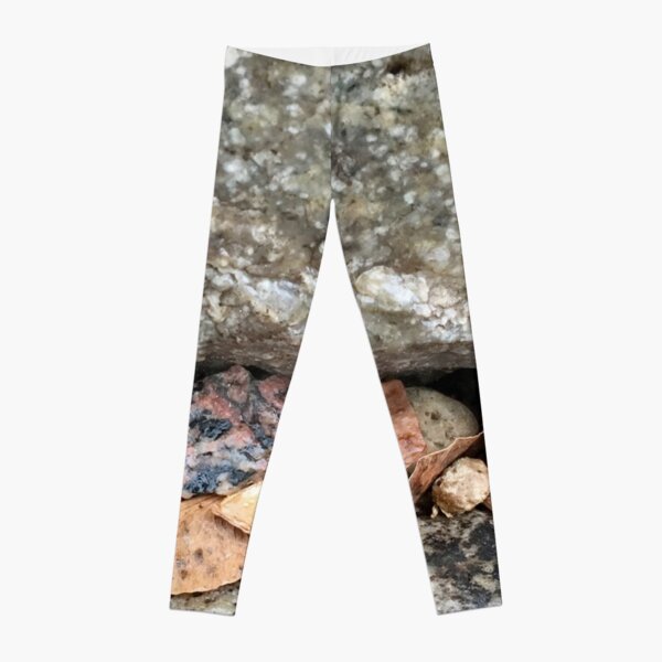 Pebbles and Seeds in a Crevasse Between Two Rocks Leggings RB0301 product Offical jinjer Merch