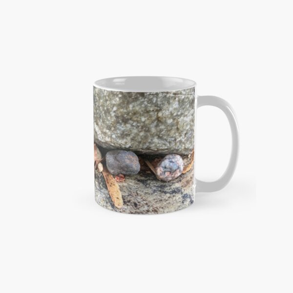 Pebbles and Seeds in a Crevasse Between Two Rocks Classic Mug RB0301 product Offical jinjer Merch