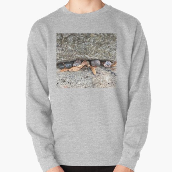 Pebbles and Seeds in a Crevasse Between Two Rocks Pullover Sweatshirt RB0301 product Offical jinjer Merch