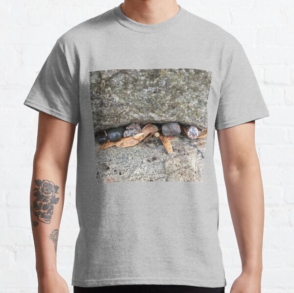 Pebbles and Seeds in a Crevasse Between Two Rocks Classic T-Shirt RB0301 product Offical jinjer Merch