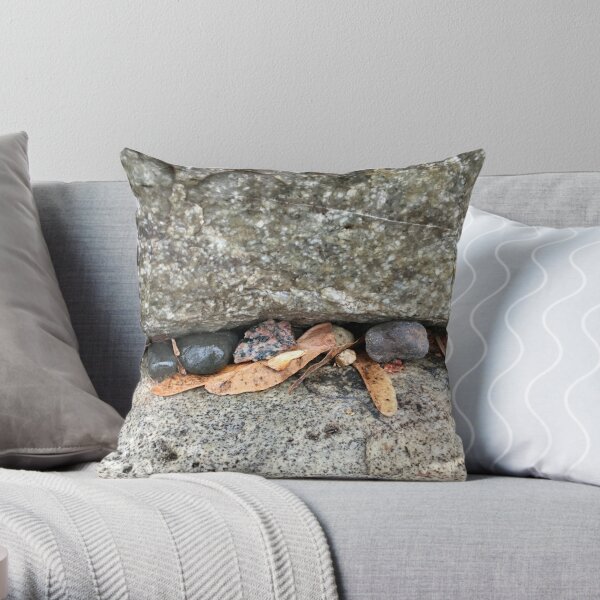 Pebbles and Seeds in a Crevasse Between Two Rocks Throw Pillow RB0301 product Offical jinjer Merch