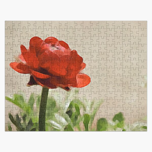 Glorious Red Ranunculus Jigsaw Puzzle RB0301 product Offical jinjer Merch